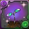 黒薔薇の種子
